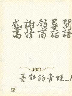 感谢领导关心的高情商话语