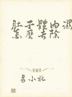 肚子体内湿气重怎么去除