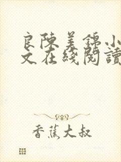 良陈美锦小说全文在线阅读