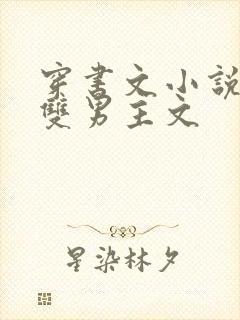 穿书文小说推荐双男主文