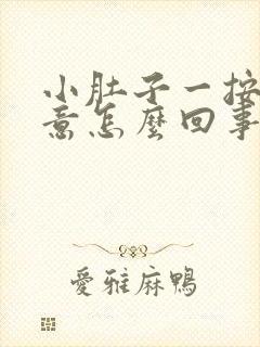 小肚子一按有尿意怎么回事