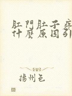 肛门肚子疼痛是什么原因引起的