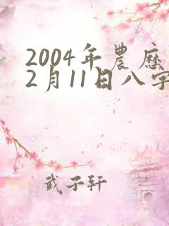 2004年农历2月11日八字