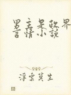 男主是政界高干言情小说