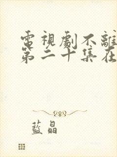 电视剧不离不弃第二十集在线观看免费