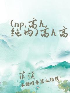 (np,高h,纯肉)高h高辣视频