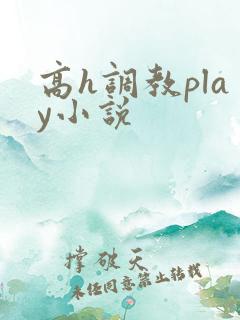 高h调教play小说