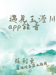 遇见王沥川哪个app能看