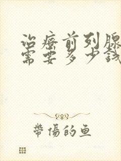 治疗前列腺一般需要多少钱