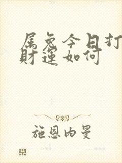 属兔今日打麻将财运如何