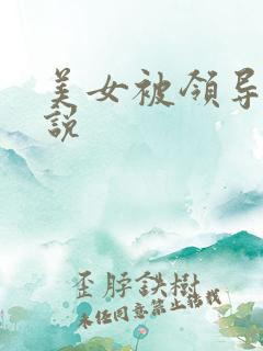 美女被领导操小说