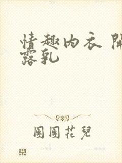 情趣内衣 开档露乳