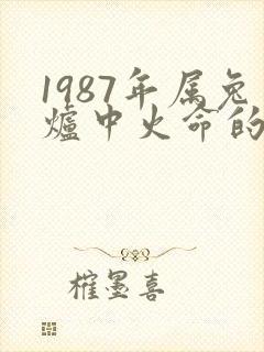 1987年属兔炉中火命的人命运如何
