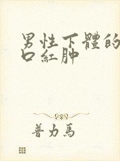 男性下体的尿道口红肿