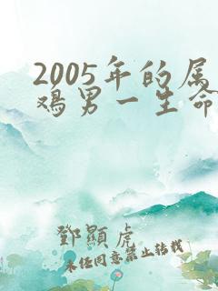 2005年的属鸡男一生命运