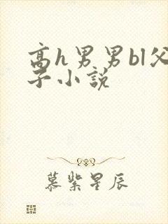 高h男男bl父子小说