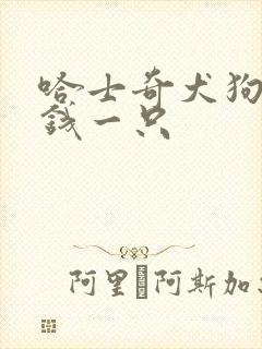 哈士奇犬狗多少钱一只