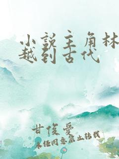 小说主角林云穿越到古代