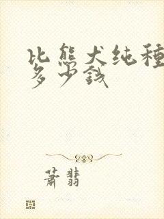 比熊犬纯种价格多少钱