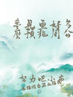 梦见鱼好多鱼什么预兆周公解梦