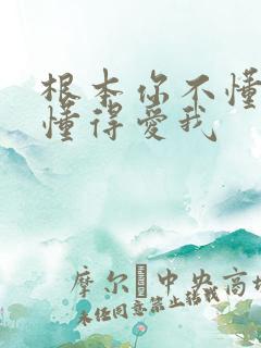 根本你不懂的不懂得爱我