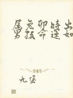 属兔卯时出生的男孩命运如何