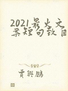 2021最火文案短句致自己语录