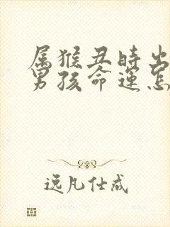 属猴丑时出生的男孩命运怎么样