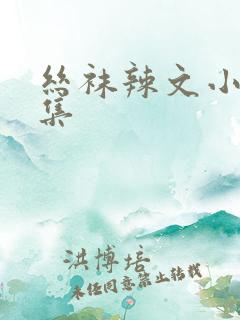 丝袜辣文小说合集