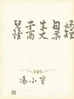 儿子生日妈妈高情商文案短句