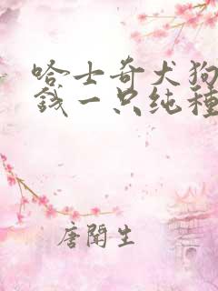 哈士奇犬狗多少钱一只纯种