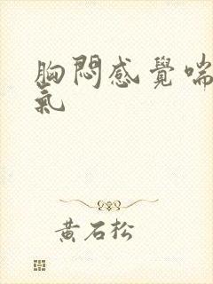 胸闷感觉喘不上气