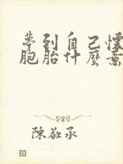 梦到自己怀了双胞胎什么意思