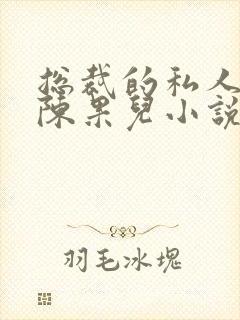 总裁的私人秘书陈果儿小说