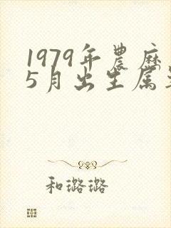 1979年农历5月出生属羊男命运