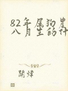 82年属狗农历八月生的什么命