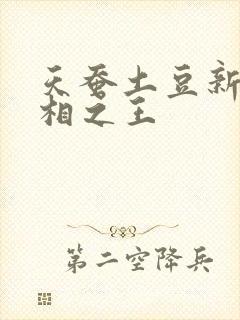 天蚕土豆新书万相之王