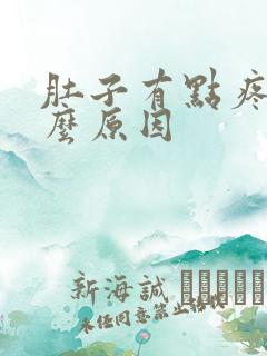 肚子有点疼是什么原因