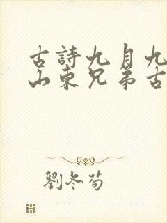 古诗九月九日忆山东兄弟古诗