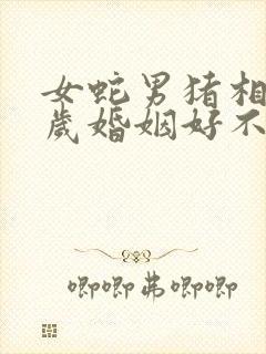 女蛇男猪相差6岁婚姻好不好