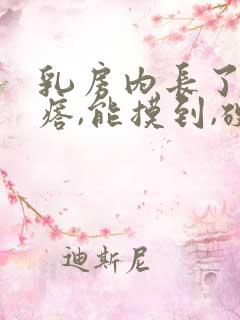 乳房内长了个疙瘩,能摸到,硬硬的,疼