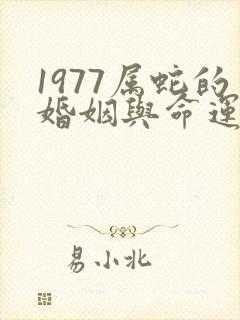 1977属蛇的婚姻与命运如何
