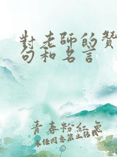 对老师的赞美诗句和名言