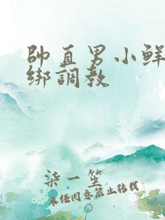 帅直男小鲜肉捆绑调教