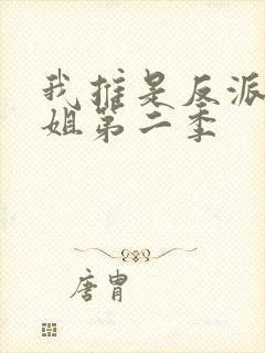 我推是反派大小姐第二季