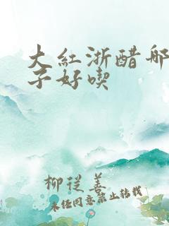 大红浙醋哪个牌子好吃