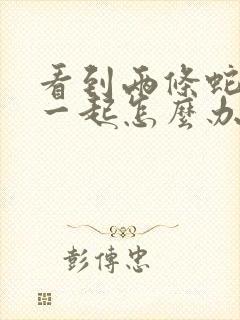 看到两条蛇缠在一起怎么办