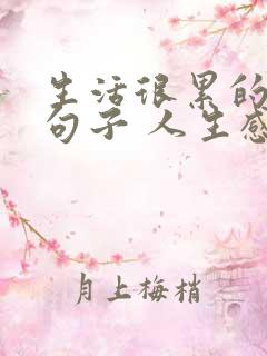 生活很累的经典句子 人生感悟