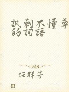 讽刺不懂尊重人的词语