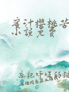 蜜汁樱桃苦咖啡小说免费